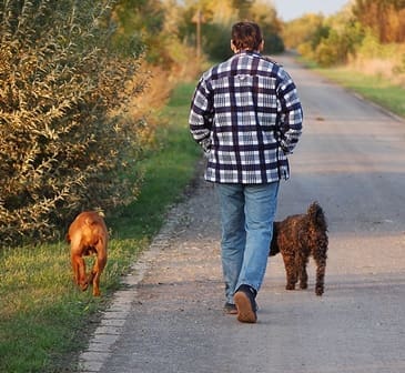 Ceva announces Animal Welfare Awards nominations open