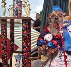 Mugly from Peterborough wins World’s Ugliest Dog