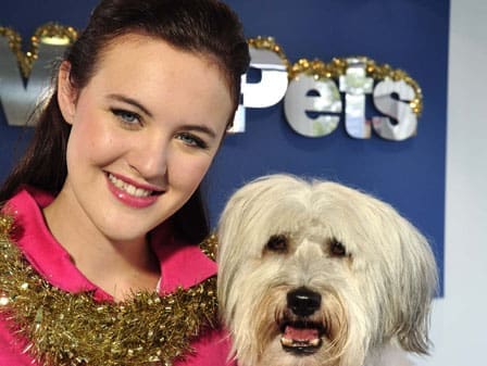 Pet Show sells 179 stands for début exhibition