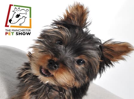 Manchester Pet Show reveals campaign-fronting pets