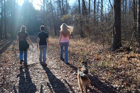 New meet and greet service for dog lovers