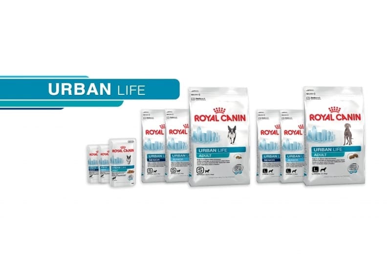 Royal Canin’s New Range for the Urban, Active and Sporting Dog