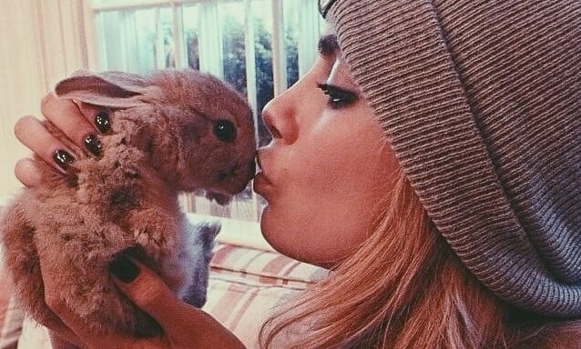 Model Cara Delevingne Launches New Campaign To Show Pets Are Not Just For Christmas