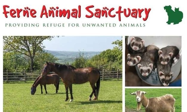 Ferne Animal Sanctuary’s Annual Christmas Blessing Set for 3rd Dec