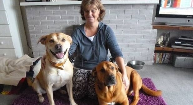 Ferne Animal Sanctuary Unite Two Unwanted Depressed Dogs and an Animal Lover At a Loss