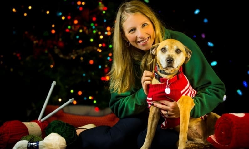National Christmas Jumper Day for Canine Companions Too!