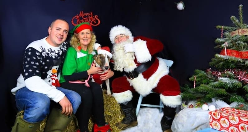 Have Yourself a Doggy Kind of Christmas
