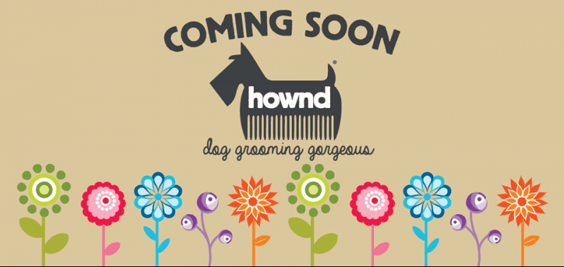 Butch & Bess set to rebrand as HOWND