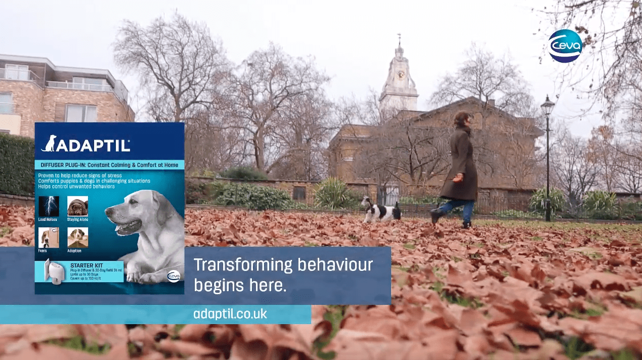 New Adaptil® TV Ad With a Focus on Dog Behaviour Launches in Run Up to Crufts
