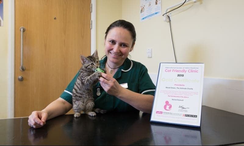 Wood Green The Animals Charity Awarded Cat Friendly Clinic Status