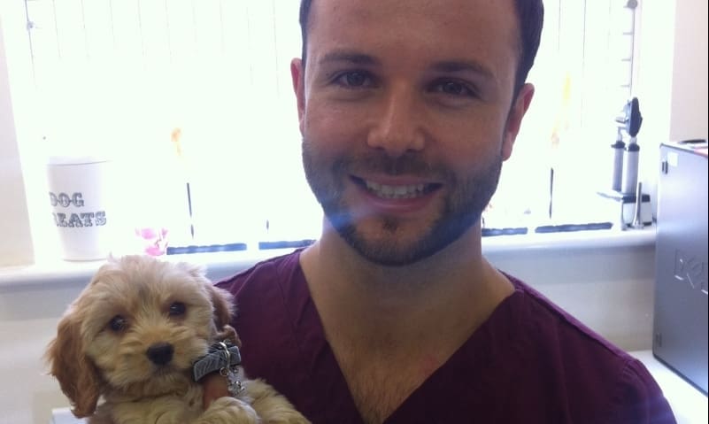 New Status for Derby Vet