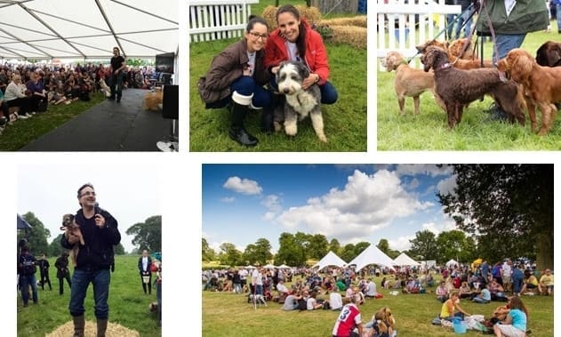 Success for DogFest in Cheshire