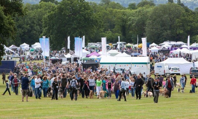 DogFest makes its TV debut