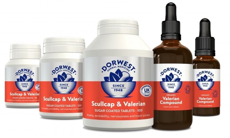 Dorwest prepares pets for firework season