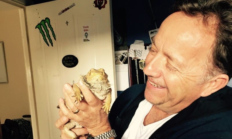 Pet bearded dragon found alive after house fire