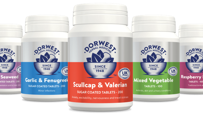 Dorwest launch rebrand and reveal their fresh new look