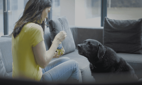 InformPet promotes oral health on TV screens