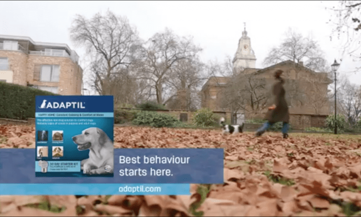 Ceva’s biggest ever television campaign