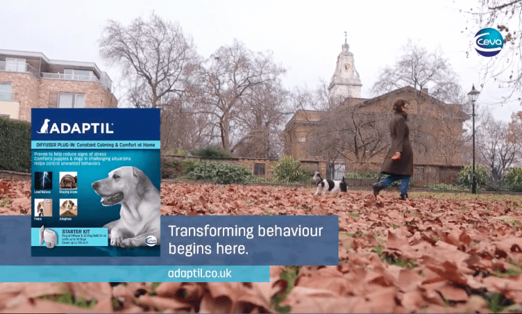 ADAPTIL® to run TV campaign during Crufts