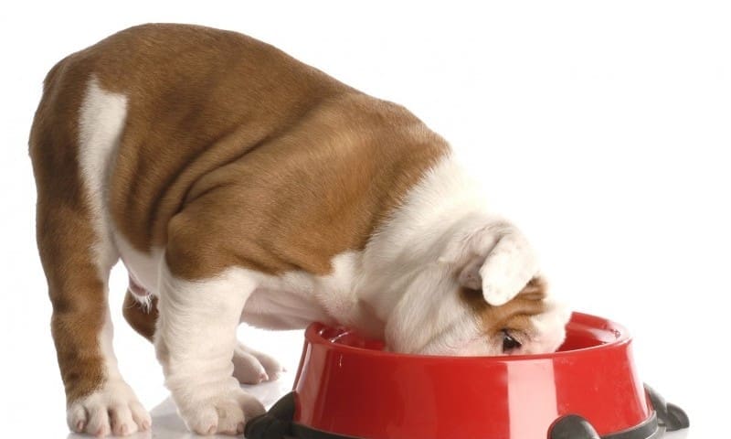 Fold Hill Foods Ltd buys Pointer Pet Products