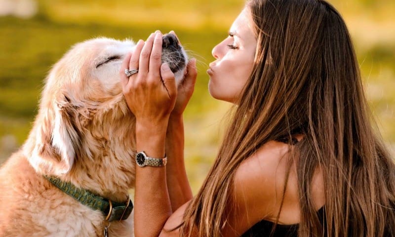 Dog owners talk to their pet more than their partner