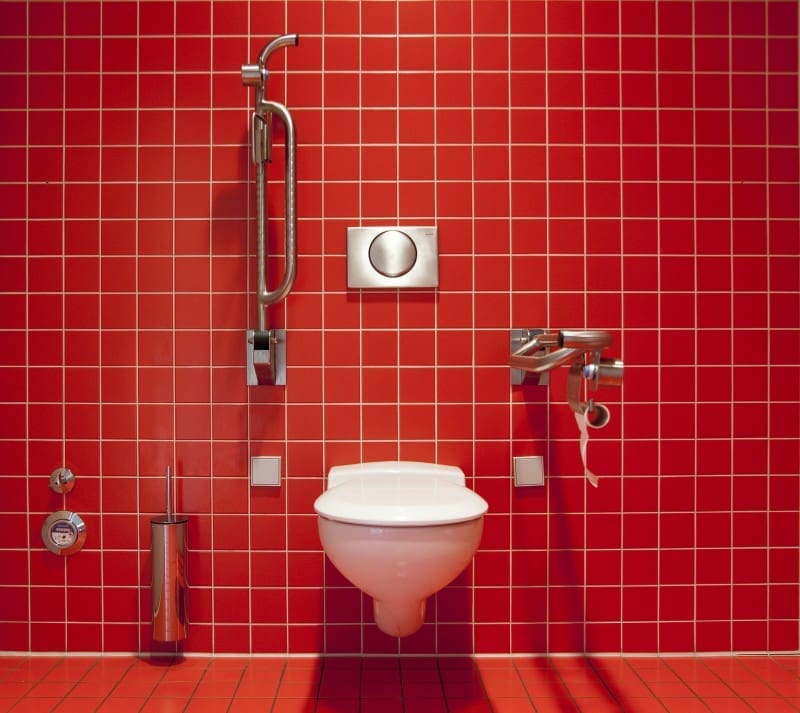 Thousands of deceased pets flushed away, says United Utilities