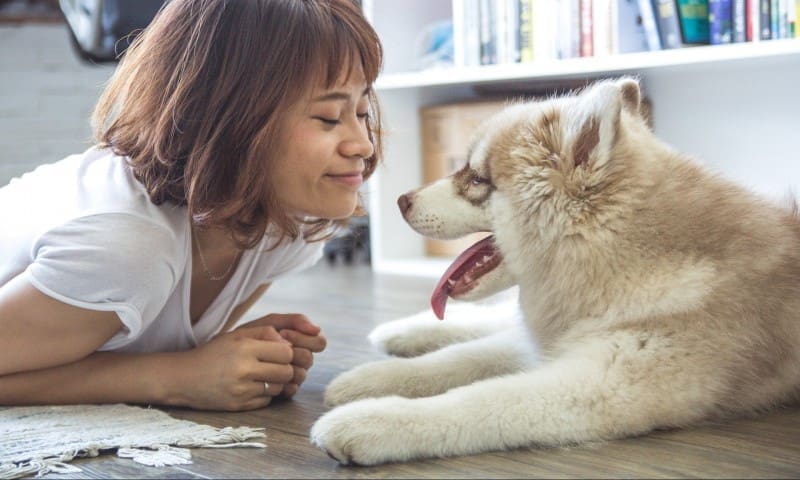 Pet lovers see themselves as ‘parents’ not owners