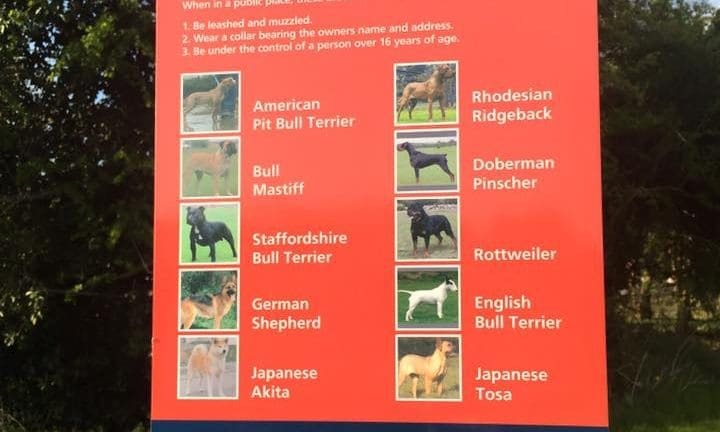 10 dog breeds ‘too dangerous’ to be a family pet, claims politician