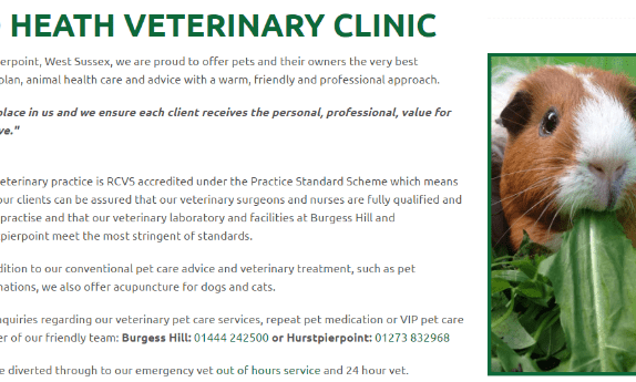 Heath Veterinary Clinic remodels website