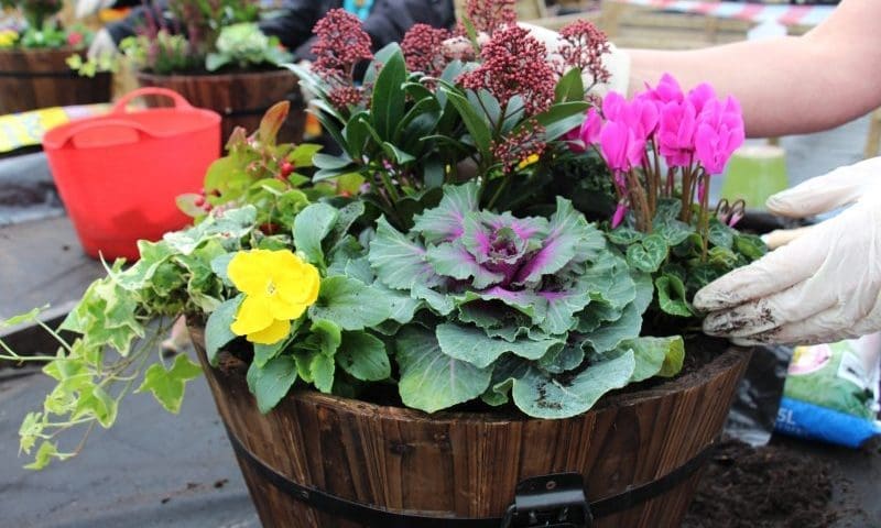 Garden centre holds workshops for adults