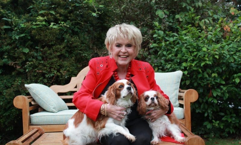 Breakthrough drug could delay a leading cause of death in dogs