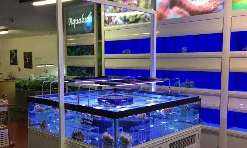 Customers flock to new aquatic store