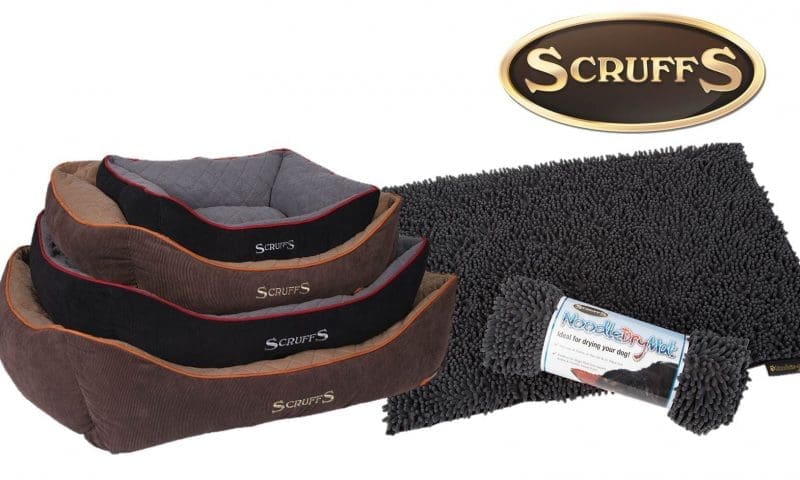 Scruffs