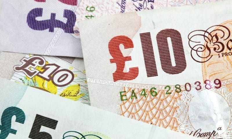 RSPCA fined £25,000 by ICO