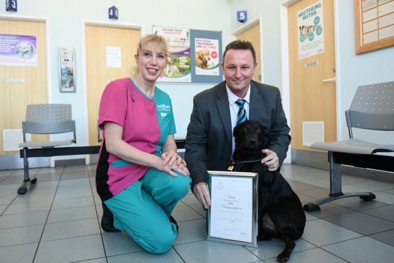 Dog receives national devotion award