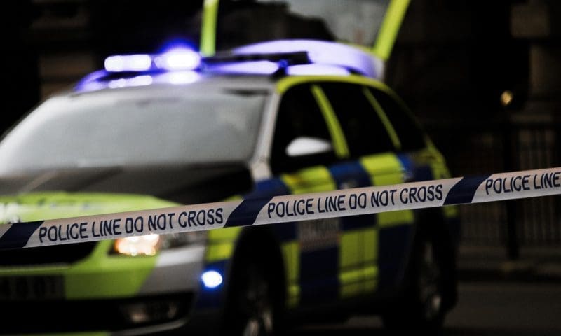 Unlicensed pet shop owner found guilty
