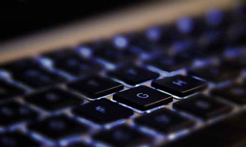 Vet-AI calls for vet industry to accept remote prescriptions