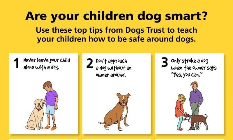 Four children admitted to hospital for dog bites everyday