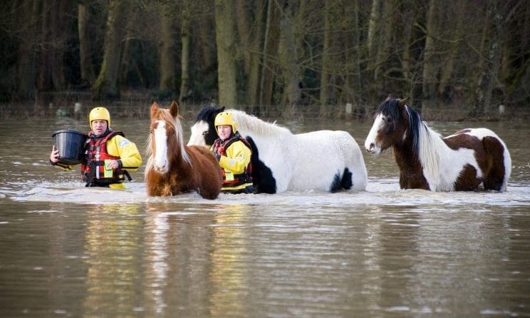 RSPCA issues flood advice ahead of thunderstorms