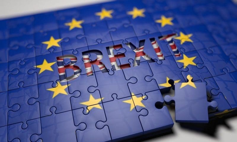 ‘Prime Minister’s proposals fall short’ says leading vet association