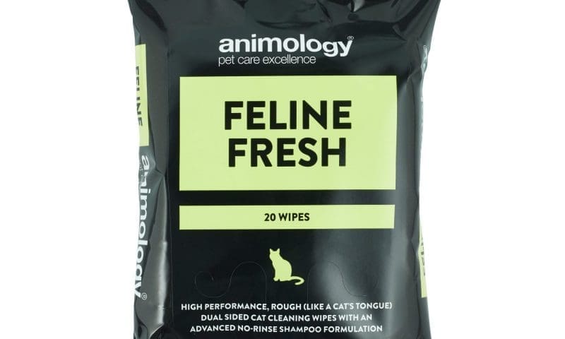 Animology, cat