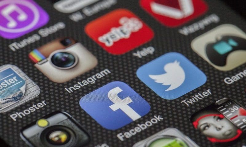 Instagram boosts sales of pet products