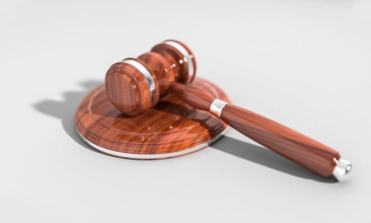 Illegal puppy trader receives lifetime ban