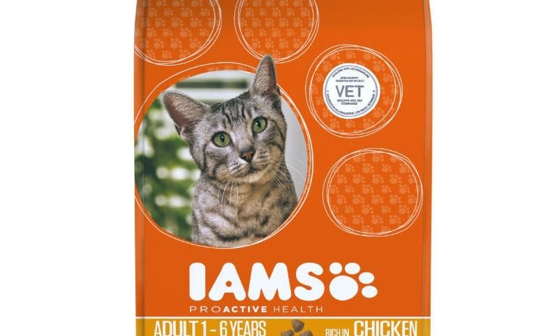 Pet food company trials diets