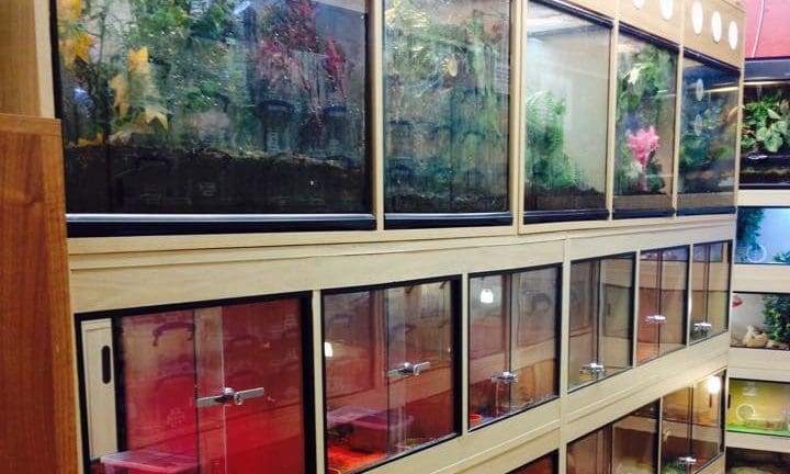 Shop worker hurt trying to stop snakes being stolen
