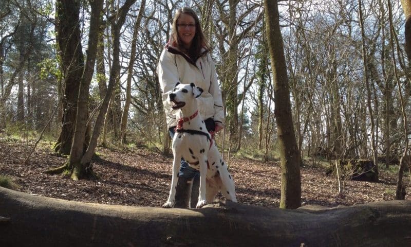 Royal Canin boosts marketing team