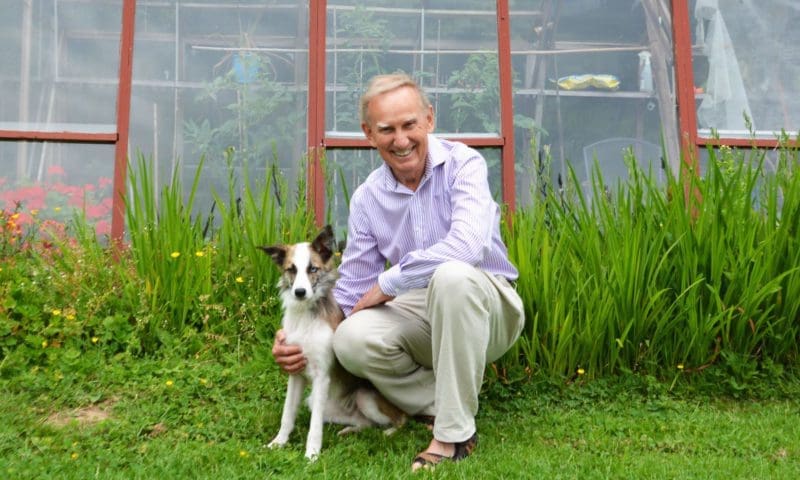 Dogs help boost sales at work