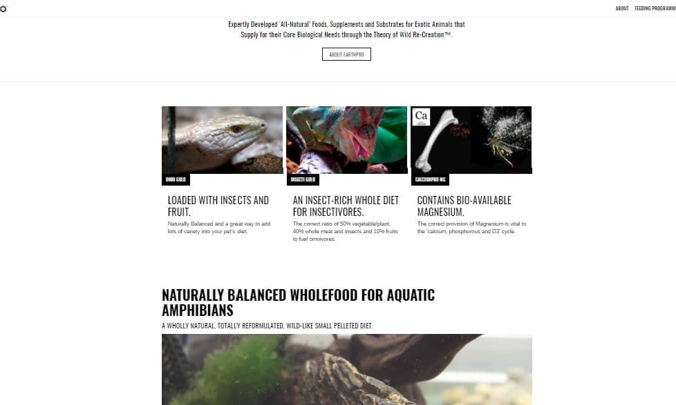 Arcadia launches brand new website