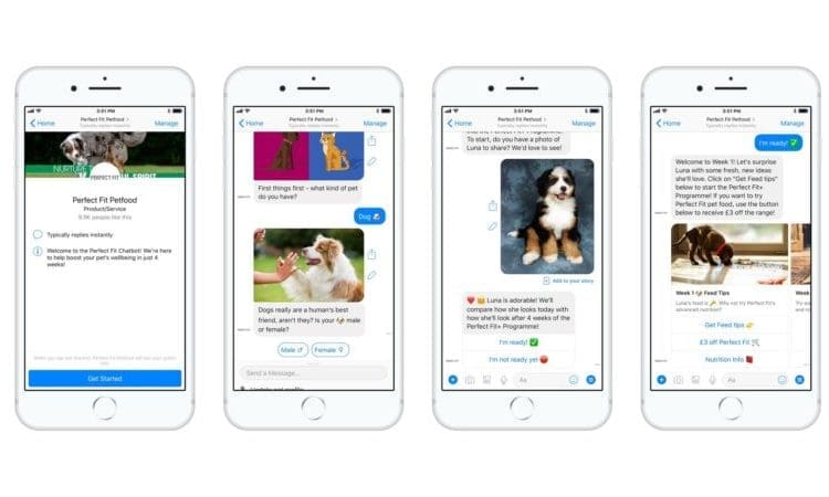 Facebook ‘chatbot’ launched for pets