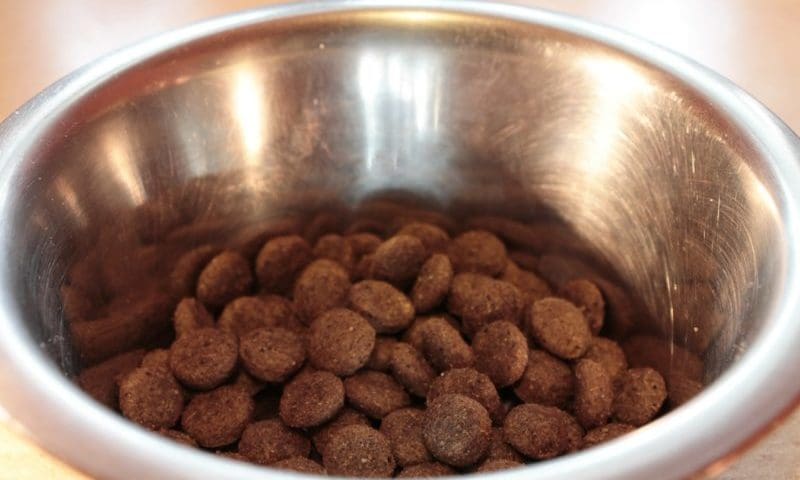 Kennel Club announces Purina as its new partner